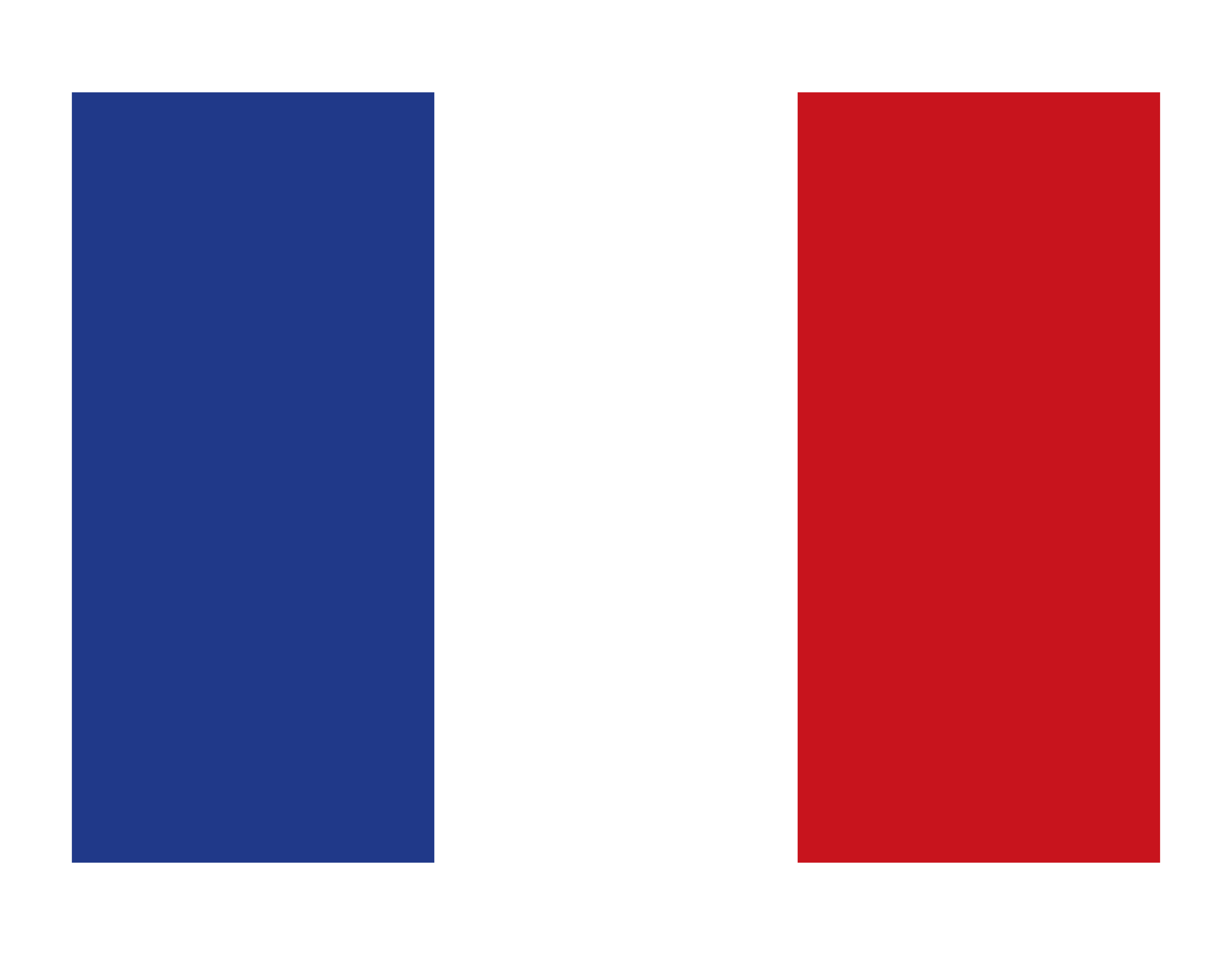 france country flag free vector